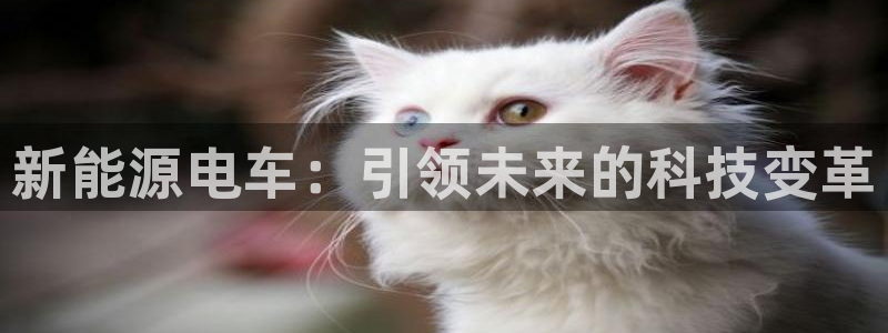 众腾娱乐毕 7O935:新能源电车:引领 众腾娱乐毕 7O935:新能源电车:引领