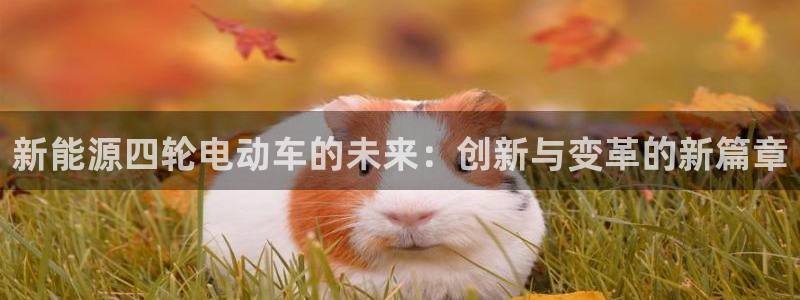 众腾娱乐平台群7O777:新能源四轮电动 众腾娱乐平台群7O777:新能源四轮电动